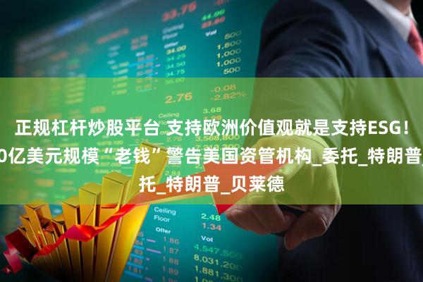 正规杠杆炒股平台 支持欧洲价值观就是支持ESG！欧洲650亿美元规模“老钱”警告美国资管机构_委托_特朗普_贝莱德